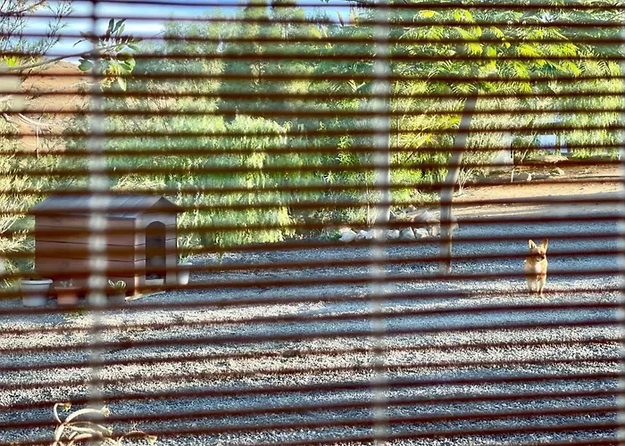 La Casita Del Mojino