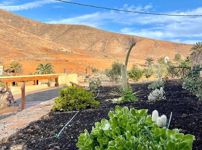 La Casita Del Mojino Betancuría