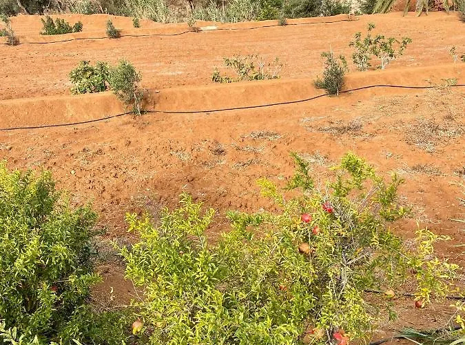 Apartament La Casita Del Mojino *