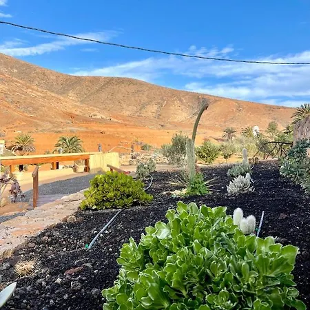La Casita Del Mojino Betancuría