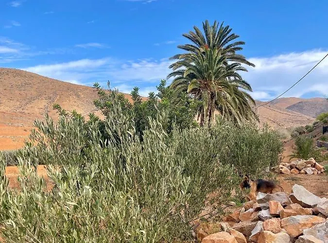 アパート La Casita Del Mojino *